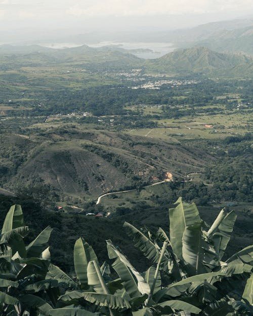 Gobierno Corporativo