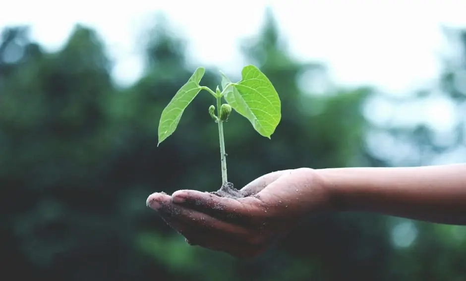 Responsabilidad social y ambiental en la actividad minera